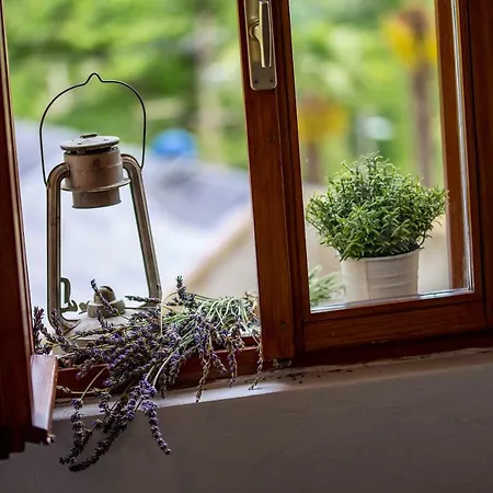 Holiday home House Pavincic *