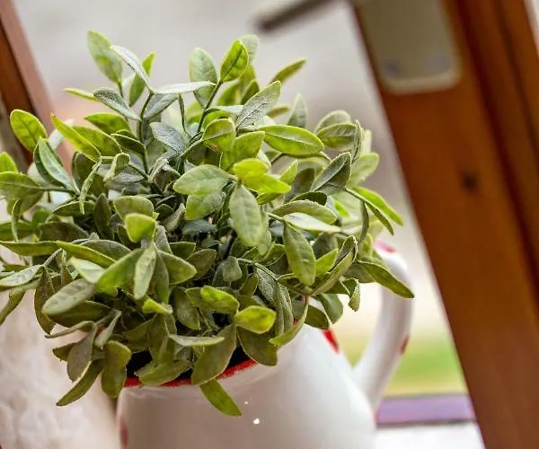 House Pavincic * Lovran