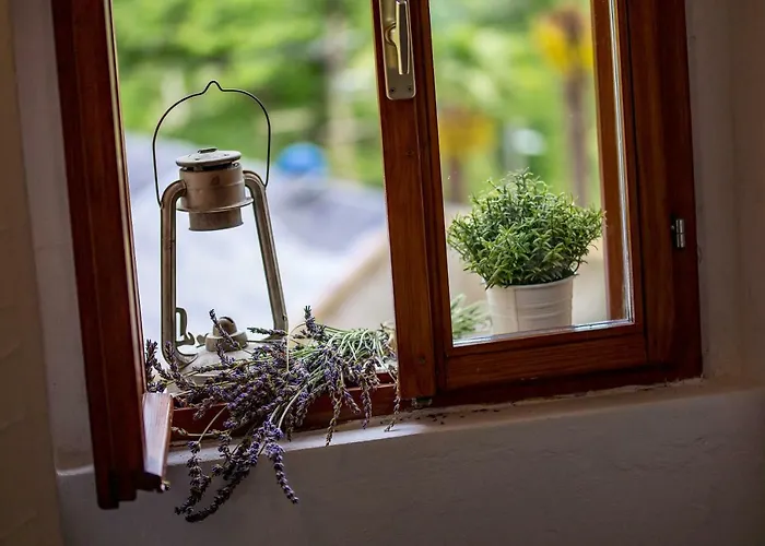 Holiday home House Pavincic *